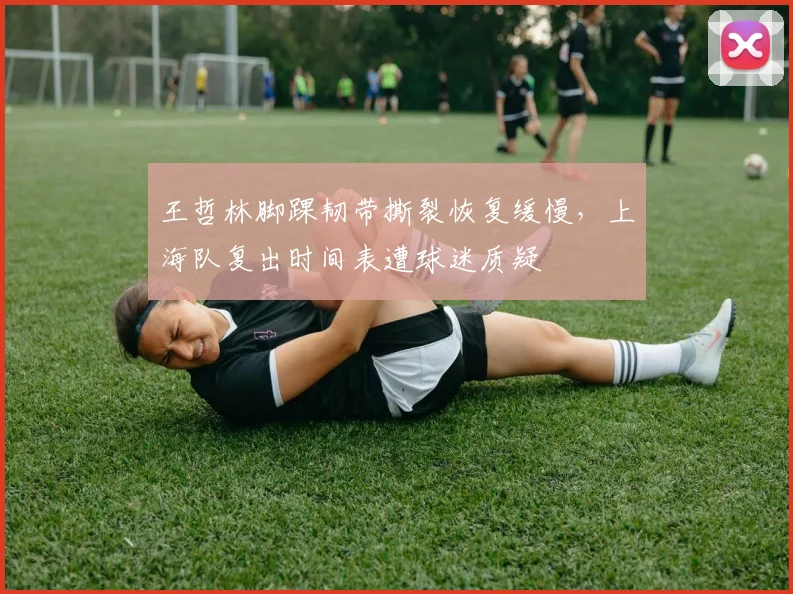 王哲林脚踝韧带撕裂恢复缓慢，上海队复出时间表遭球迷质疑